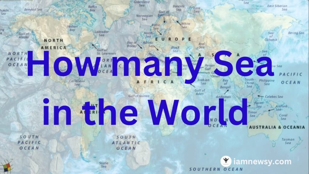 How many Sea in the World